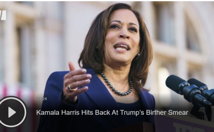  Kamala Harris Secret Service Code Name Revealed