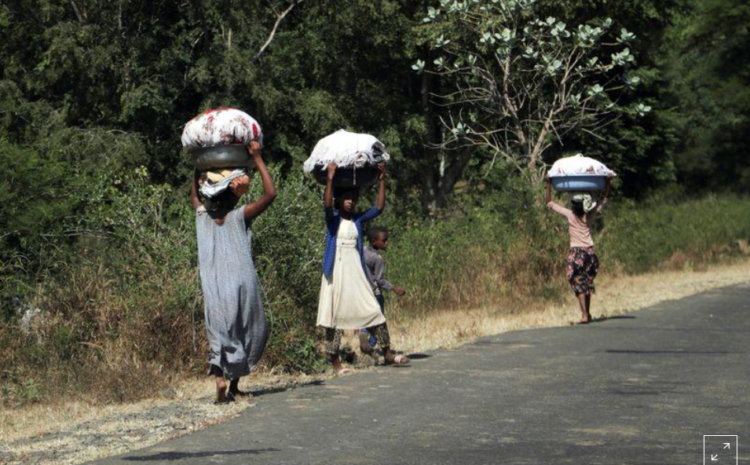  ‘Choose – I kill you or rape you’: abuse accusations surge in Ethiopia’s war