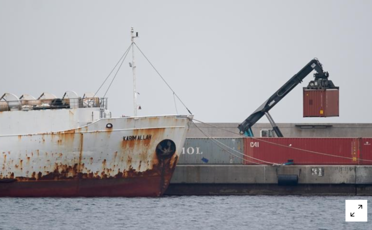  Spanish government says all cattle on pariah ship should be killed