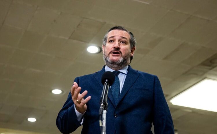 Texas Senator Ted Cruz flew to Mexico amid state energy crisis