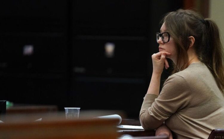 Netflix and Anna Delvey: The race to secure the story of New York’s ‘fake heiress’