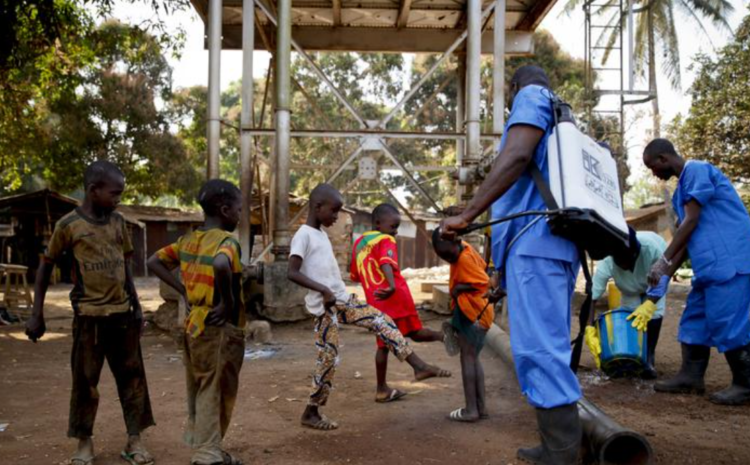  WHO: Guinea Ebola outbreak likely from human source