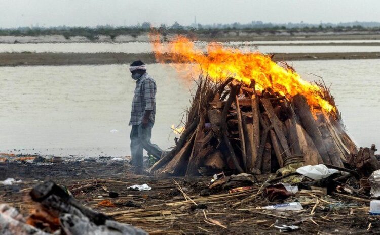  India Covid: Dozens of bodies wash up on banks of Ganges river