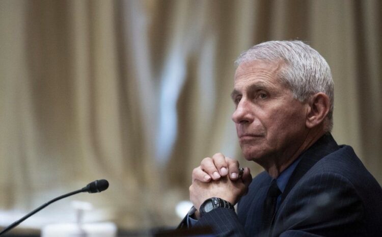 Covid: White House defends Dr Fauci over lab leak emails