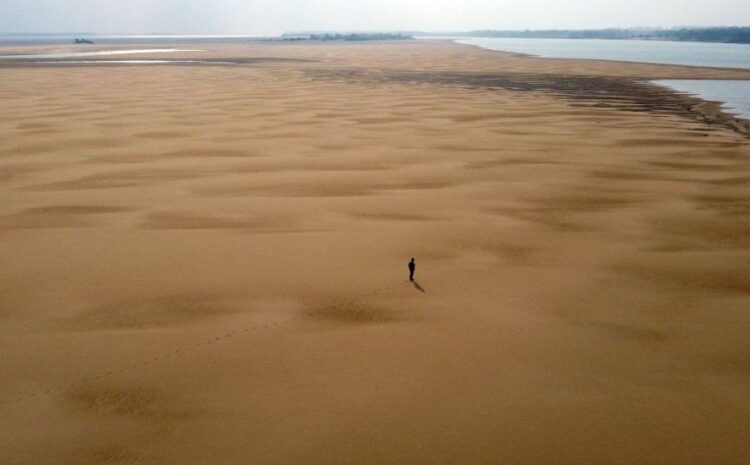  South America’s drought-hit Paraná river at 77-year low