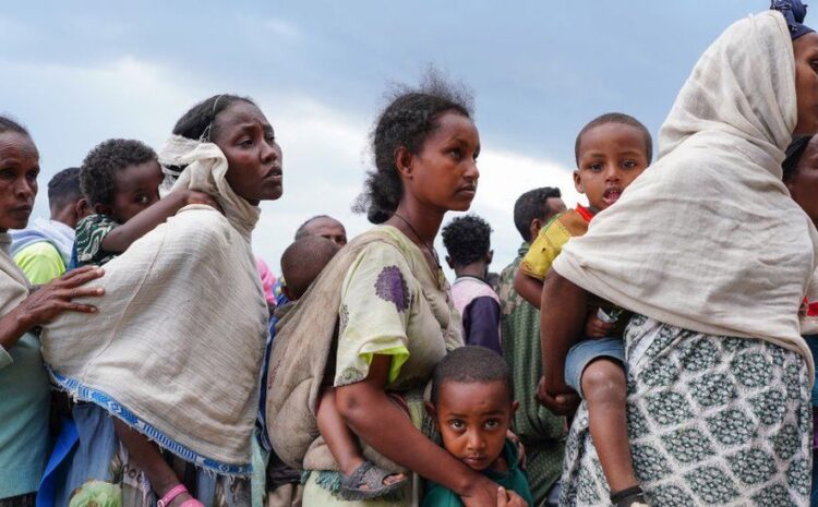  Ethiopia war: UN halts food aid in two towns after warehouses looted