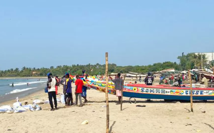  The fishy business of a Chinese factory in The Gambia